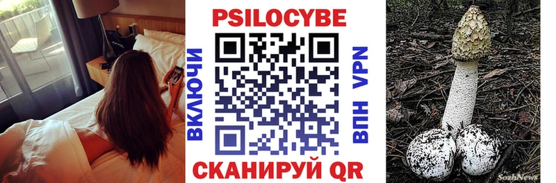 Псилоцибиновые грибы мицелий  закладки  KRAKEN   Белёв 
